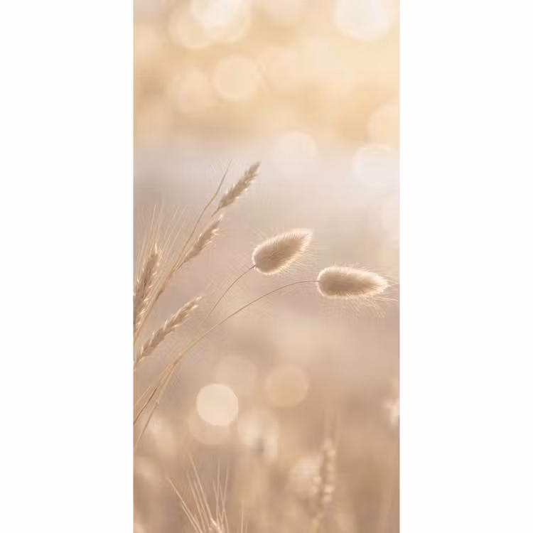 Behang - Hazestaartgras - Graanharen - Zonlicht — 2
