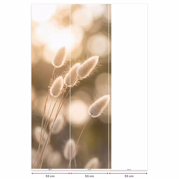 Behang - Hazestaartgras - Wit - Zonlicht — 6