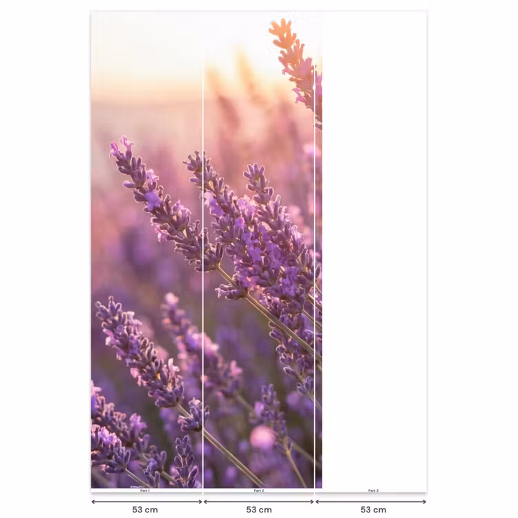 Behang - Lavendel - Paars - Zonlicht — 6