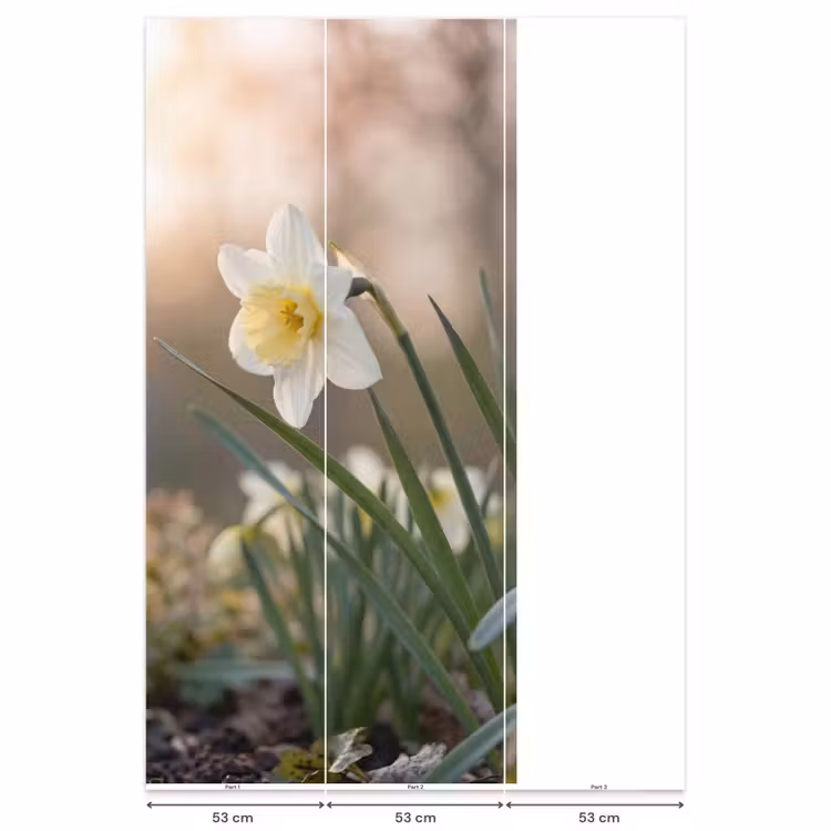 Behang - Narcis - Bloem - Minimalistisch — 6