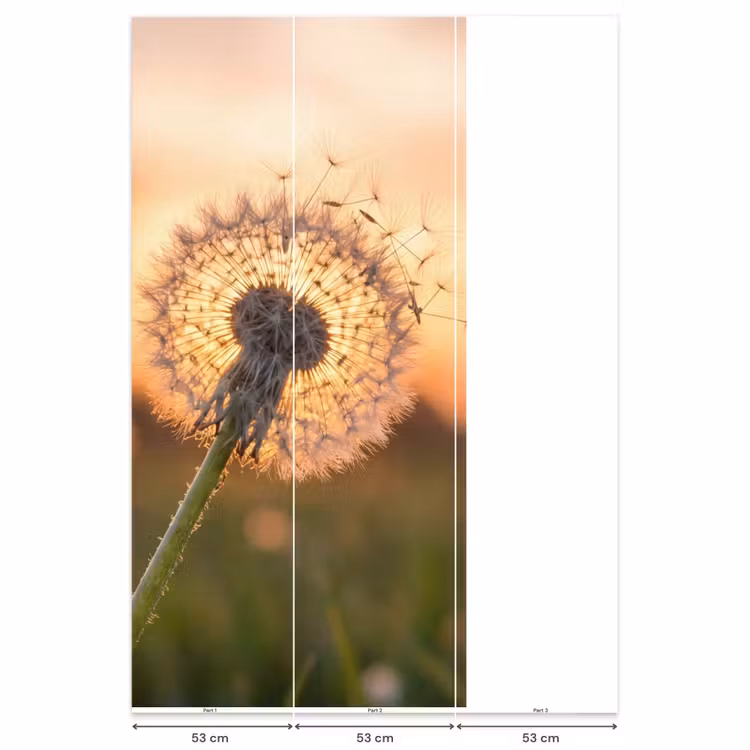 Behang - Paardenbloem - Zonsondergang - Veld — 6