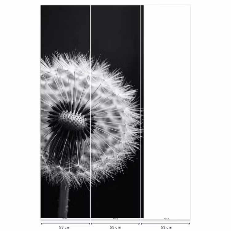 Behang - Paardenbloem - Zwart - Wit — 6