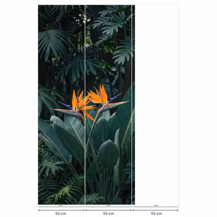 Behang - Paradijsvogel - Bloem - Exotisch — 6