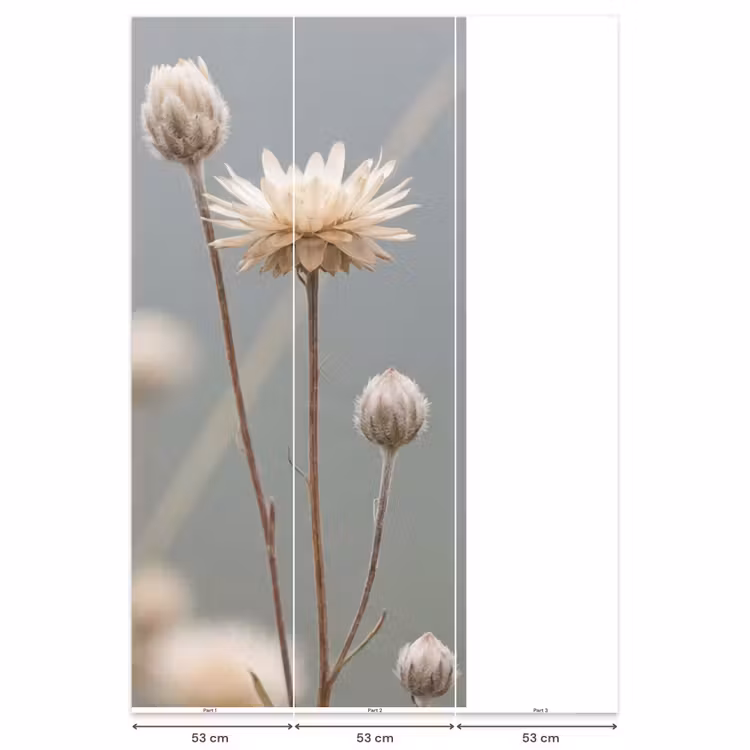 Behang - Strobloemen - Wit - Daglicht — 6