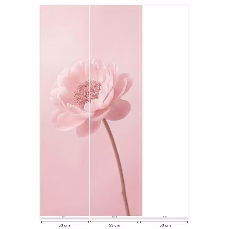 Behang - Bloem - Pioenroos - Roze — 6