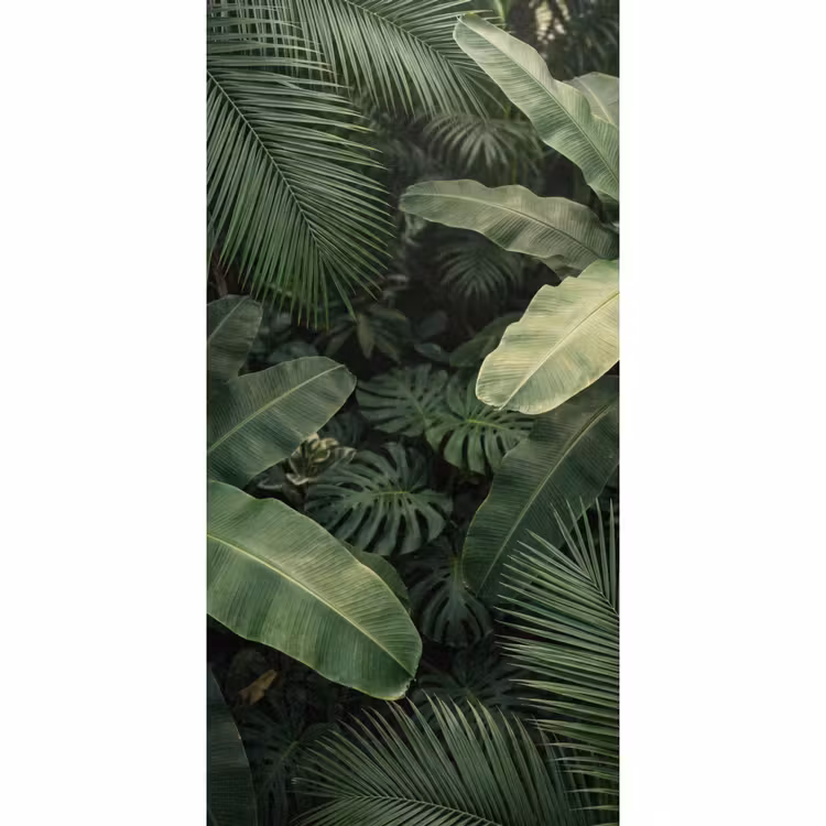 Behang - Bladeren - Groen - Tropisch - Natuur — 2