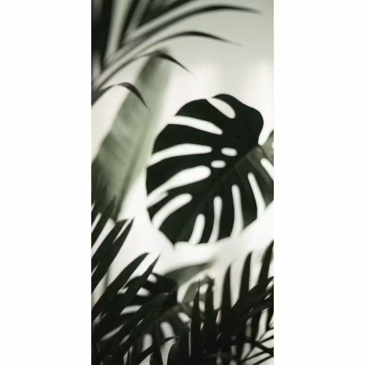 Behang - Planten - Bladeren - Natuur - Minimalistisch - Groen — 2