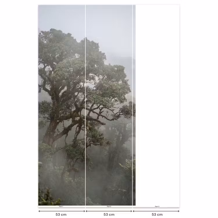 Behang - Boom - Mistig - Bos - Groen - Natuur — 6