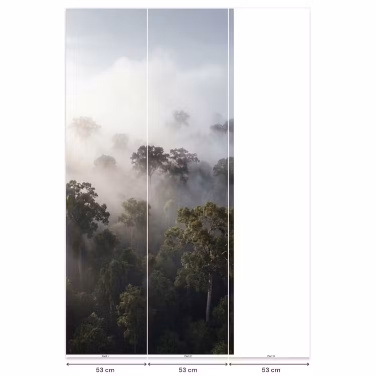 Behang - Bos - Mist - Natuur - Groen — 6