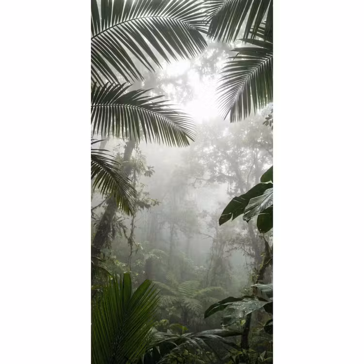 Behang - Natuur - Jungle - Mist - Groen - Bladeren — 2