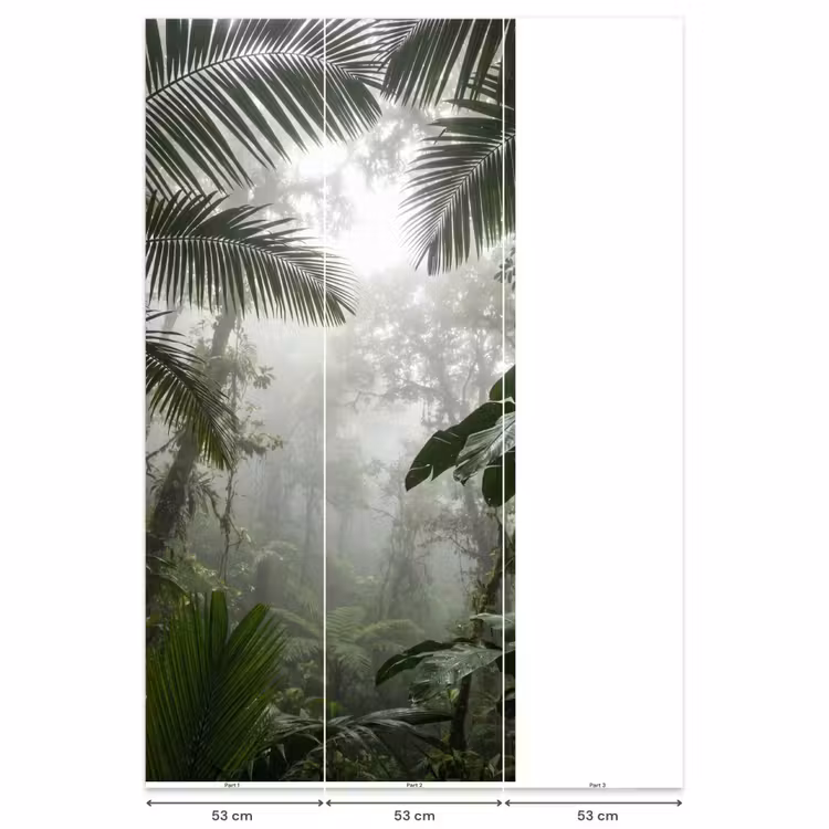 Behang - Natuur - Jungle - Mist - Groen - Bladeren — 6