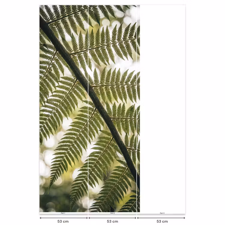 Behang - Plant - Blad - Natuur - Groen - Detail — 6