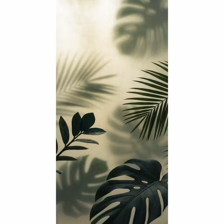 Behang - Planten - Bladeren - Schaduwen - Groen - Modern — 2