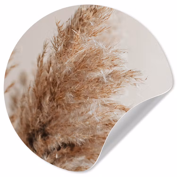 Behangcirkel - Gras - Planten - Natuur - Pampasgras — 1
