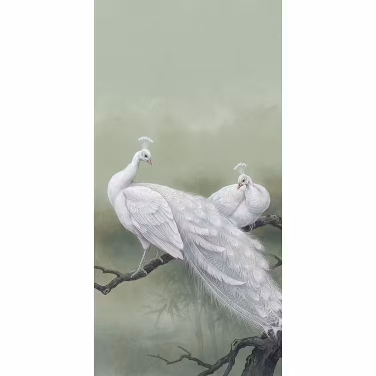 Behang - Witte Pauwen — 2