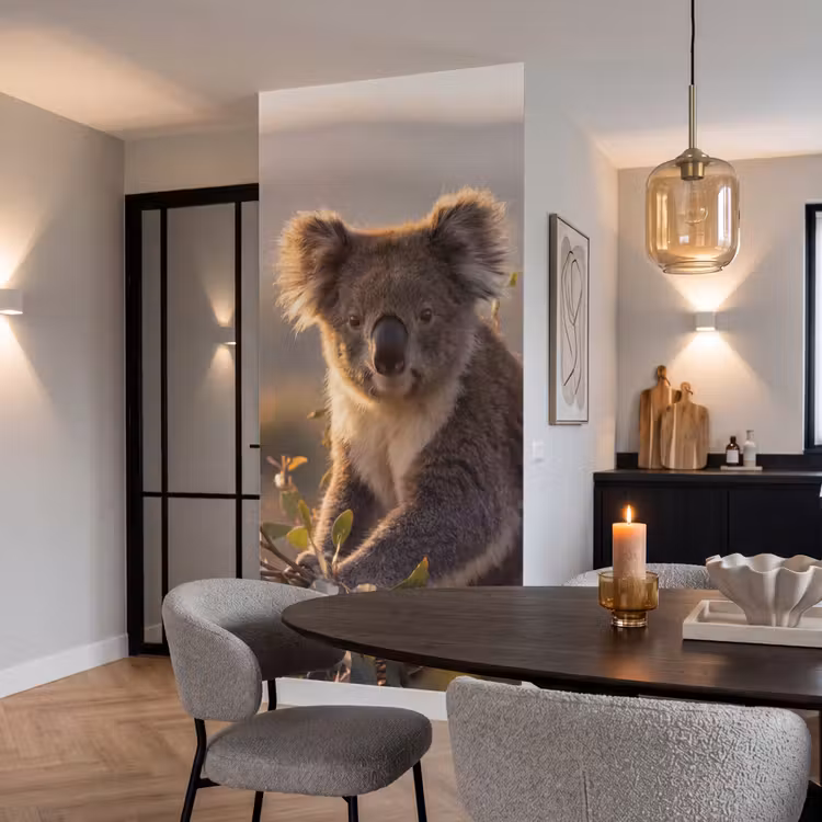 Behang - Koala - Bladeren - Ochtendlicht — 5