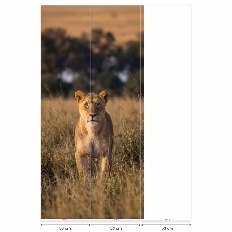 Behang - Leeuwin - Gras - Geel — 6