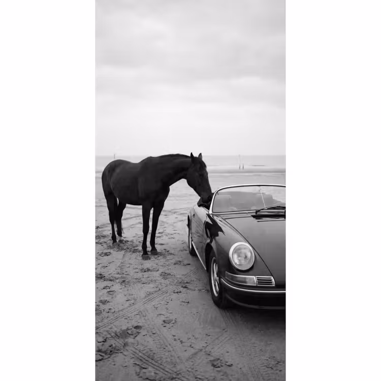 Behang - Paard - Auto - Zwart - Wit — 2