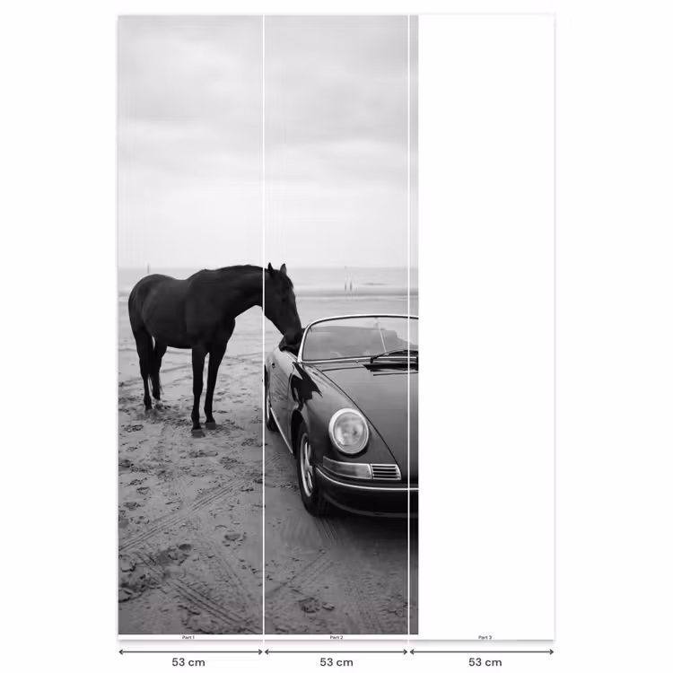Behang - Paard - Auto - Zwart - Wit — 6