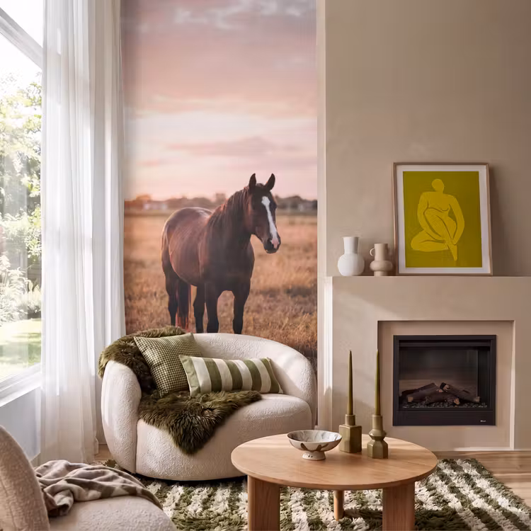 Behang - Paard - Zonsondergang - Bruin — 1