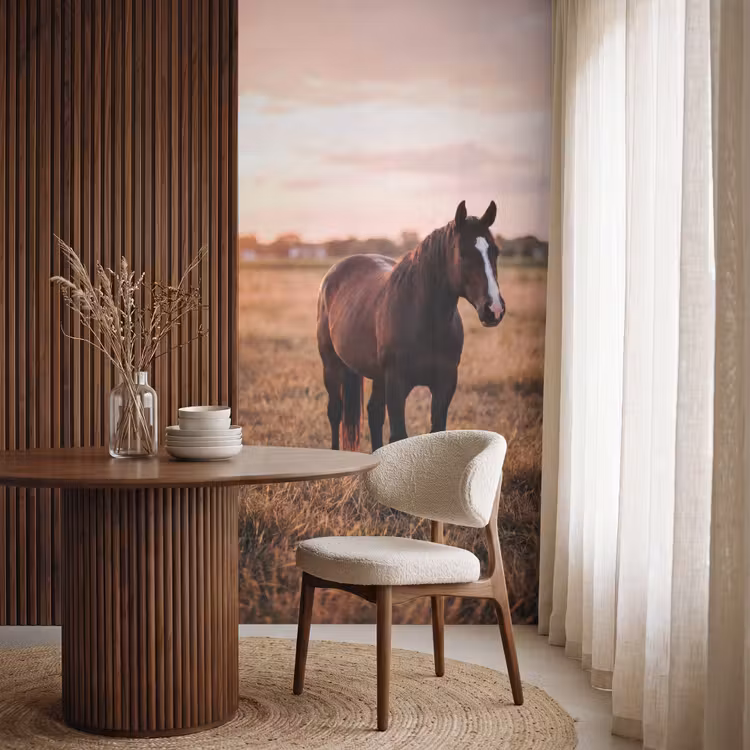 Behang - Paard - Zonsondergang - Bruin — 4