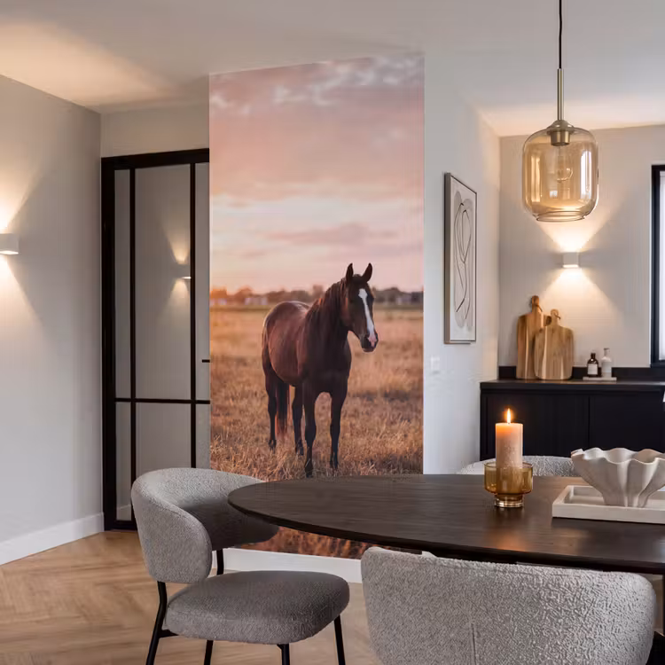 Behang - Paard - Zonsondergang - Bruin — 5