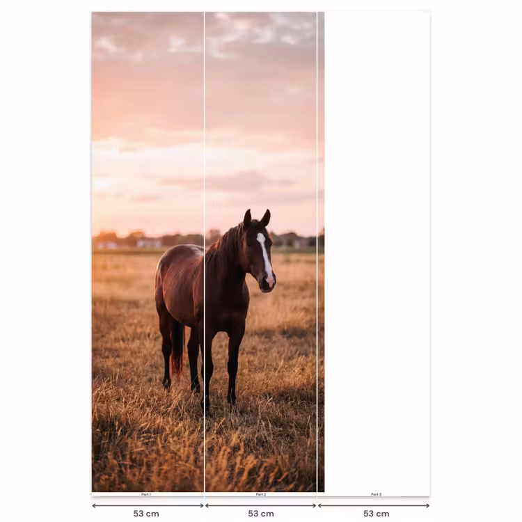 Behang - Paard - Zonsondergang - Bruin — 6