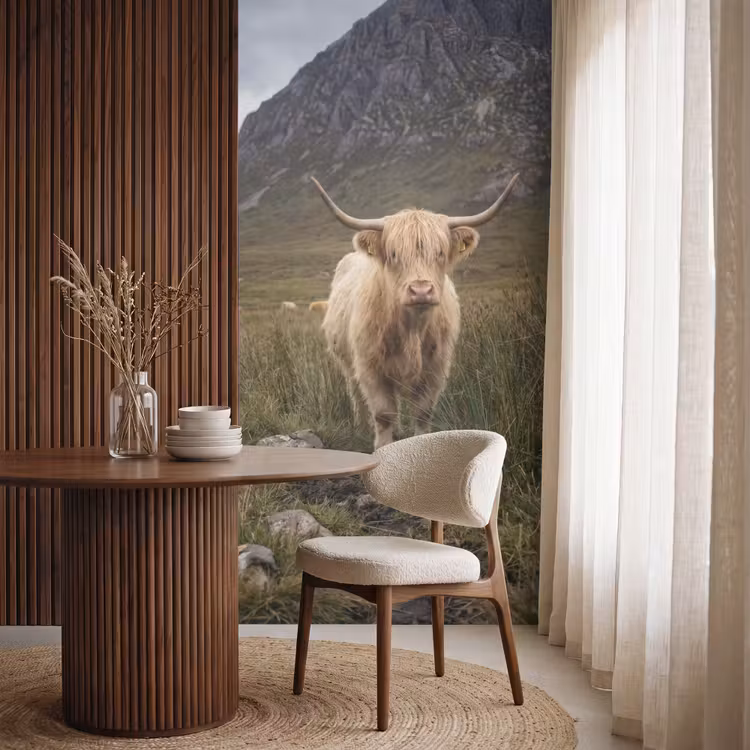 Behang - Schotse hooglander - Bergen - Grasveld — 4