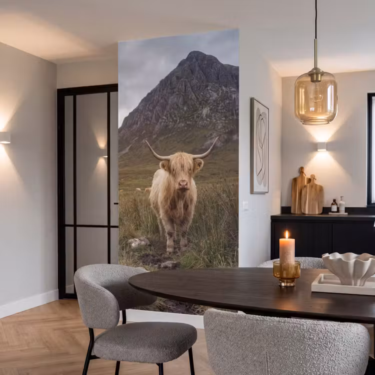 Behang - Schotse hooglander - Bergen - Grasveld — 5