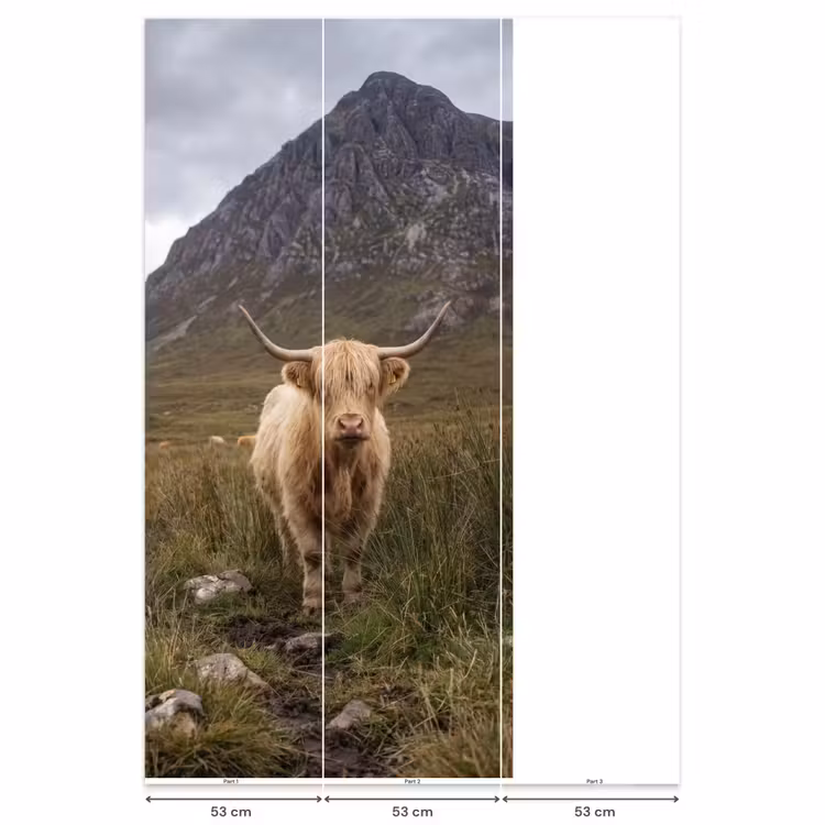 Behang - Schotse hooglander - Bergen - Grasveld — 6
