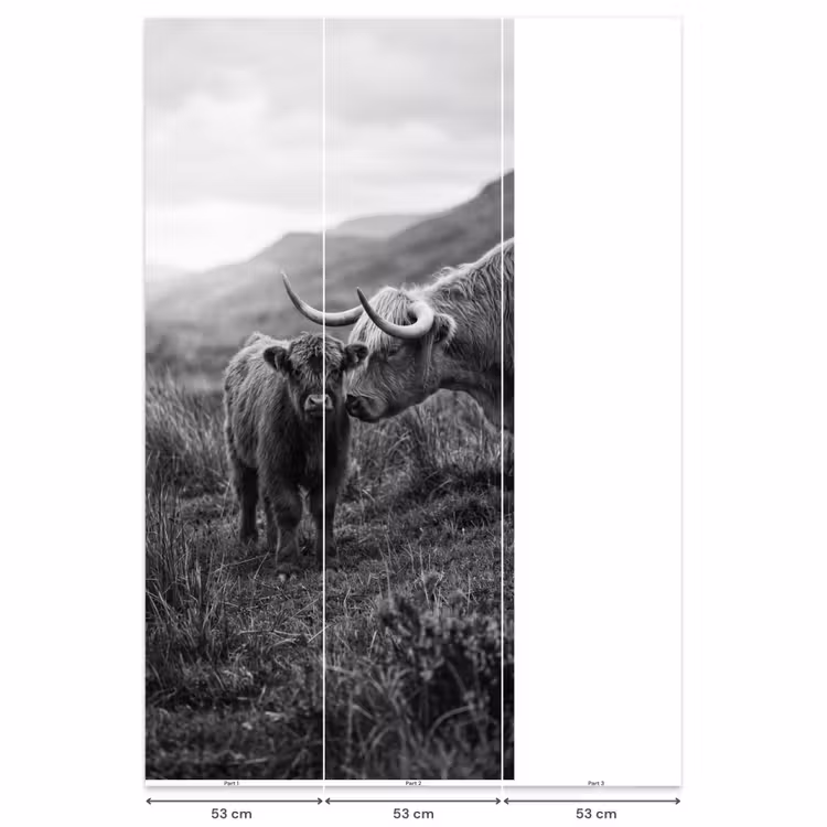 Behang - Schotse hooglander - Kalf - Zwart - Wit — 6