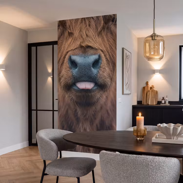 Behang - Schotse hooglander - Neus - Bruin — 5