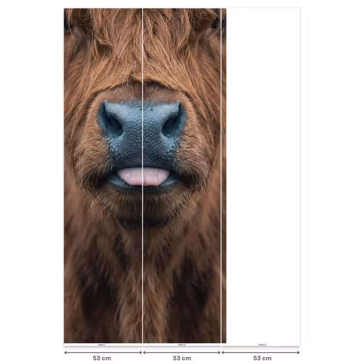 Behang - Schotse hooglander - Neus - Bruin — 6