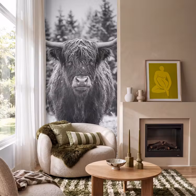 Behang - Schotse hooglander - Zwart - Wit - Sneeuwvlokken — 1