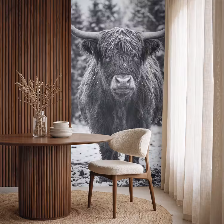Behang - Schotse hooglander - Zwart - Wit - Sneeuwvlokken — 4