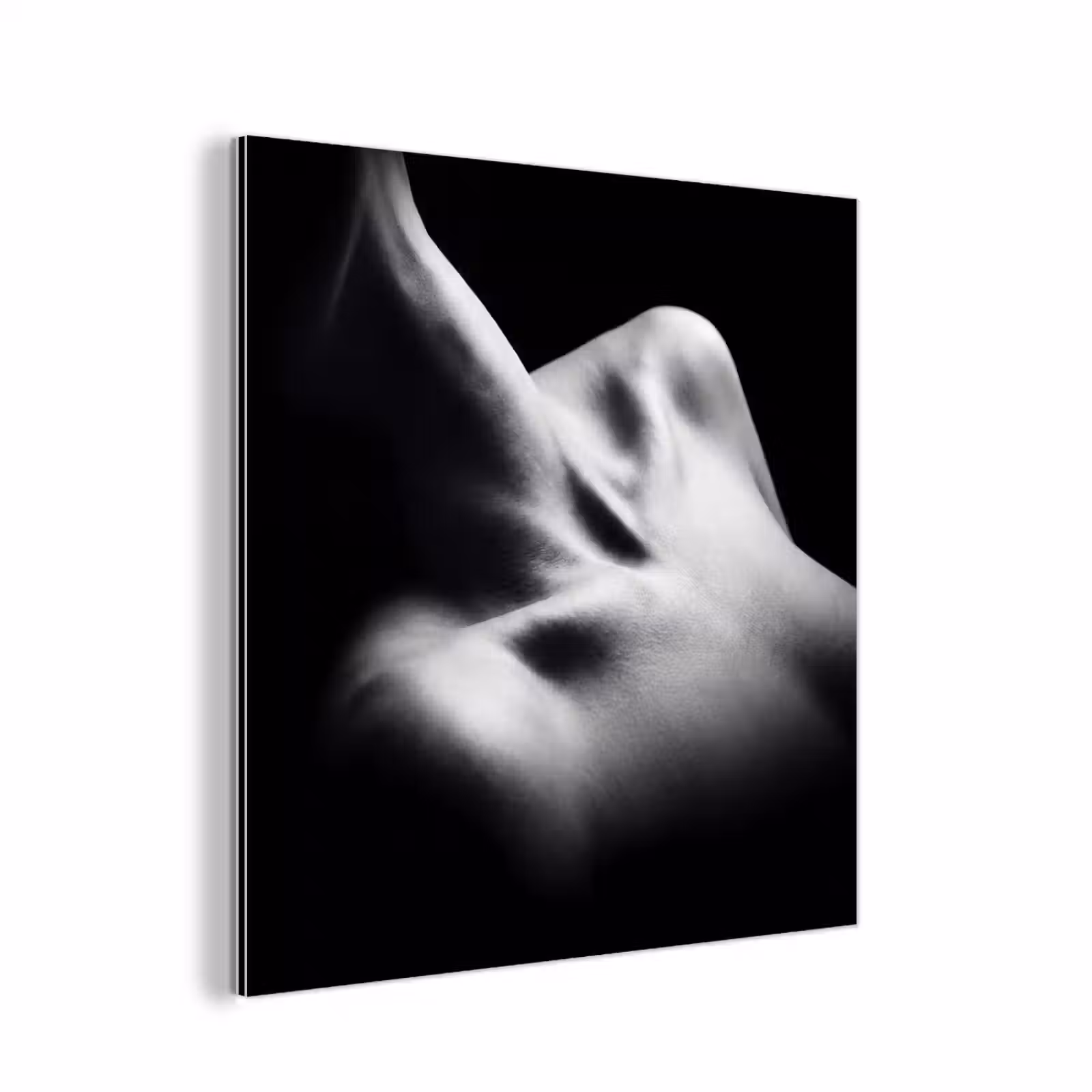 Aluminium schilderij - Lichaam - Vormen - Abstract - Zwart - Wit - Sensueel — 1