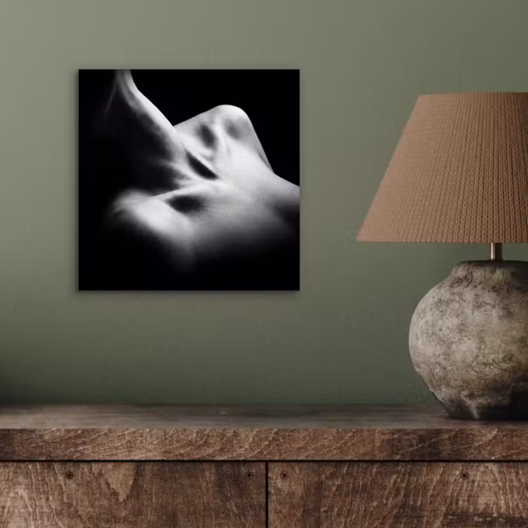 Aluminium schilderij - Lichaam - Vormen - Abstract - Zwart - Wit - Sensueel — 3