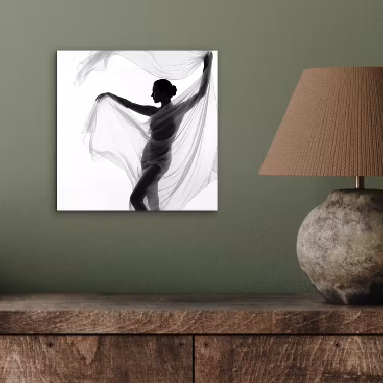 Aluminium schilderij - Silhouet - Sluier - Vormen - Zwart - Wit - Sensueel — 3