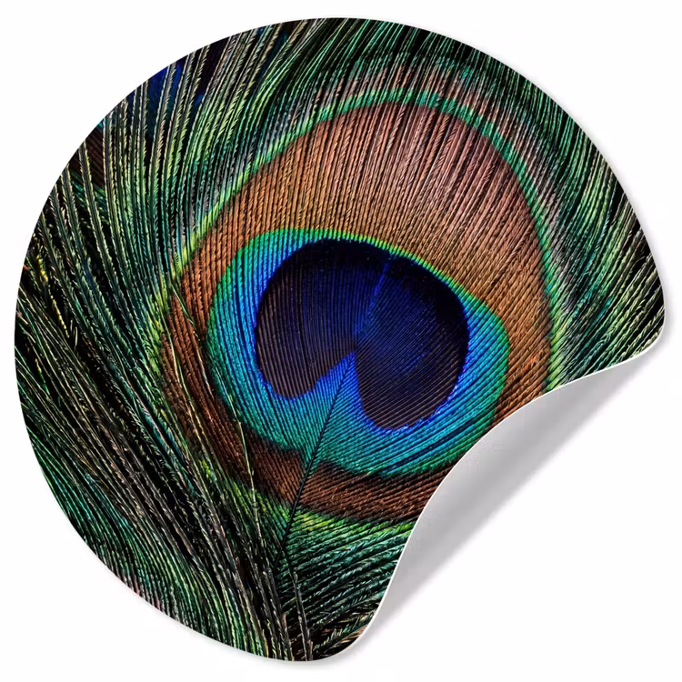 Behangcirkel - Pauwenveren - Klassiek - Groen — 1