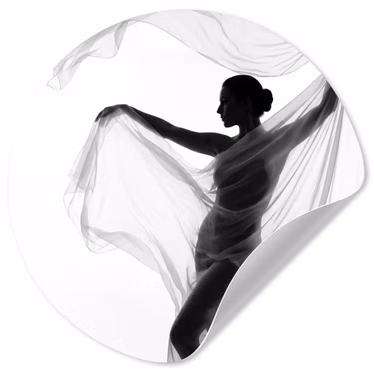 Behangcirkel - Silhouet - Sluier - Vormen - Zwart - Wit - Sensueel — 1