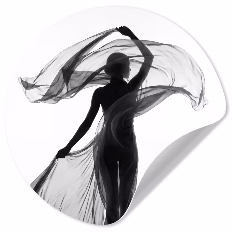 Behangcirkel - Vrouw - Sluier - Portret - Zwart - Wit - Artistiek — 1