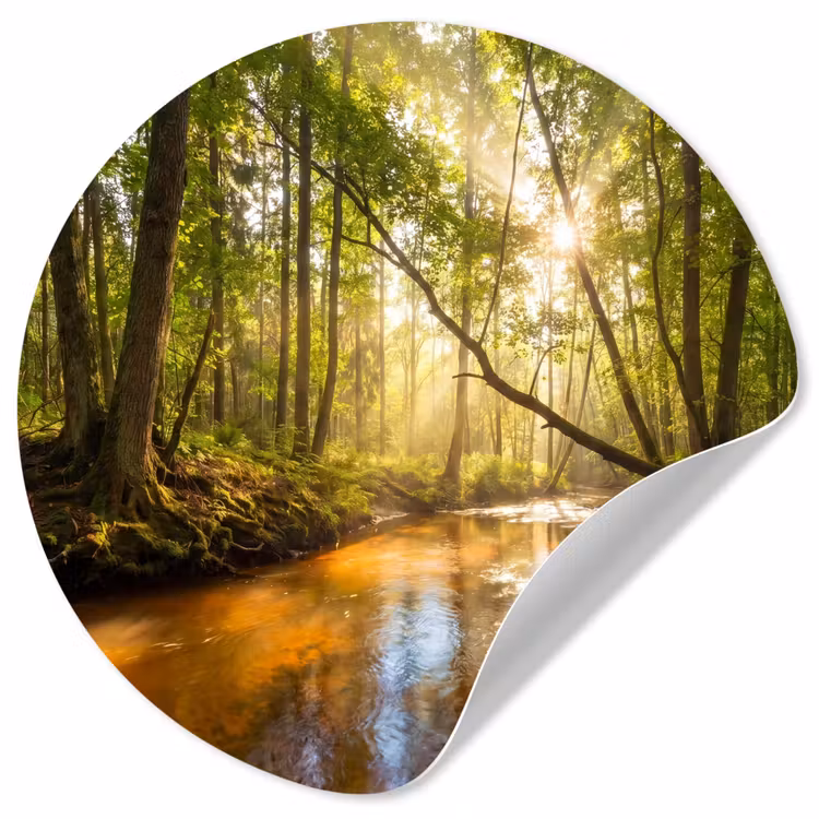 Behangcirkel - Bos - Beek - Zonlicht - Natuur - Groen — 1