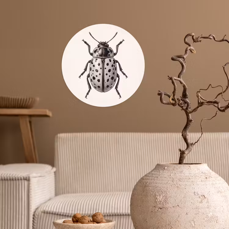 Behangcirkel - Kever - Insect - Vintage — 2