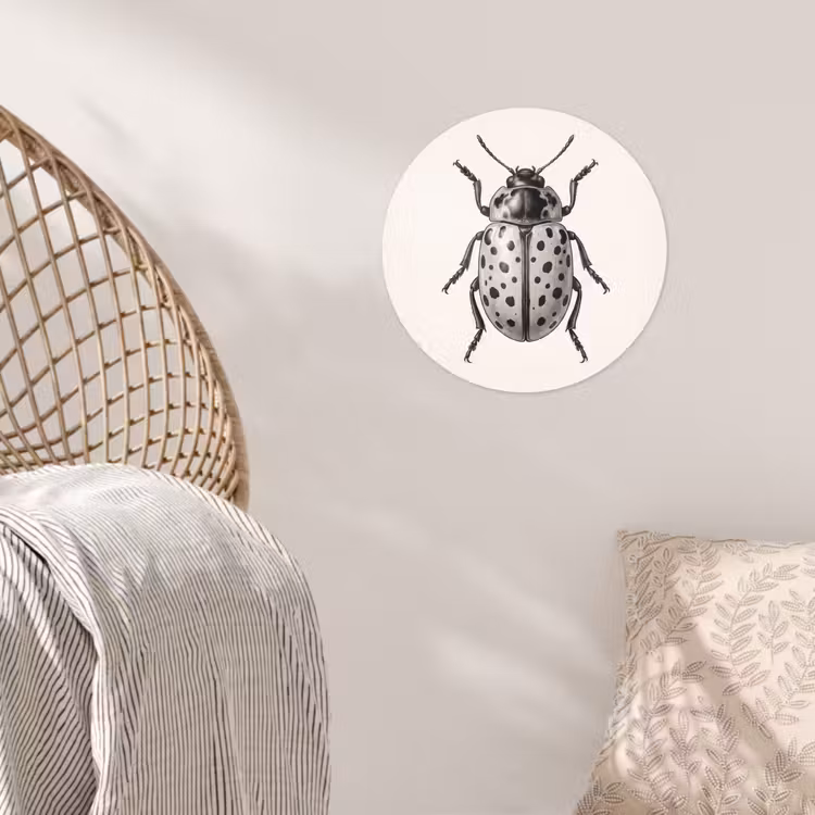 Behangcirkel - Kever - Insect - Vintage — 5