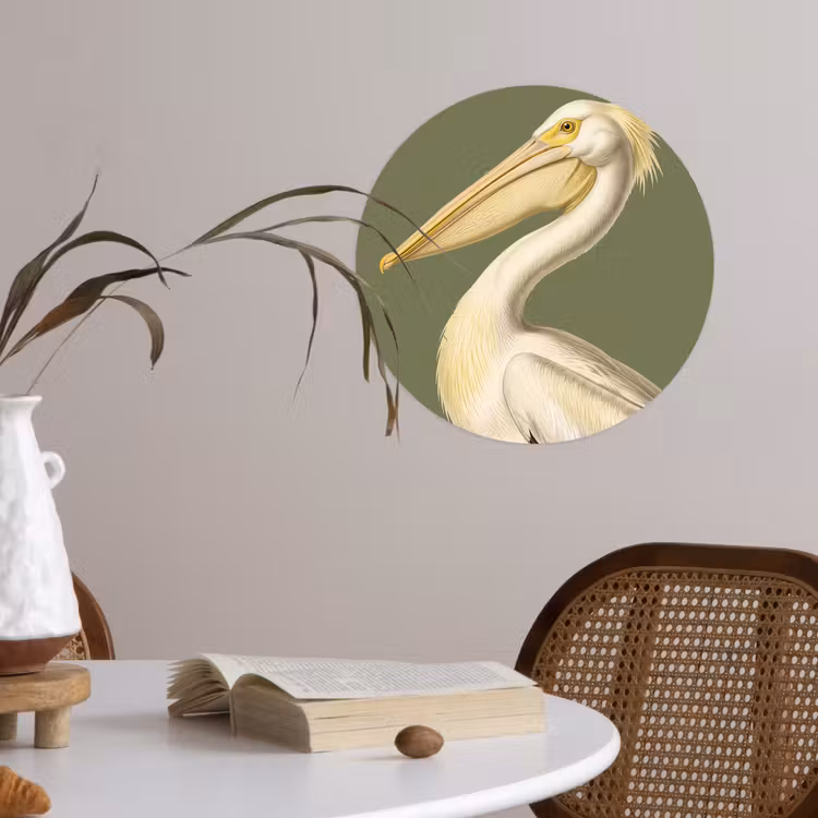 Behangcirkel - Pelikaan - Wit - Vogel - Klassiek - Natuur — 4