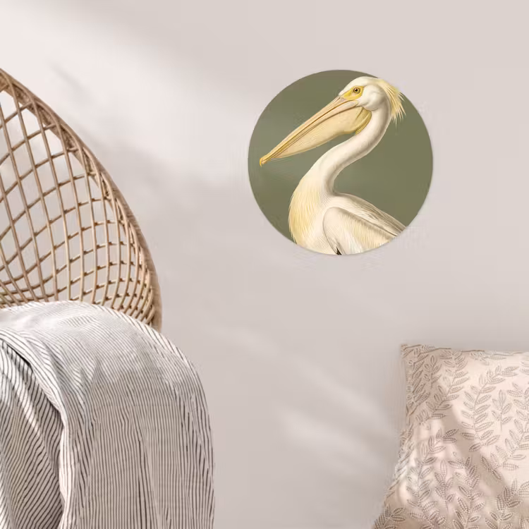 Behangcirkel - Pelikaan - Wit - Vogel - Klassiek - Natuur — 5