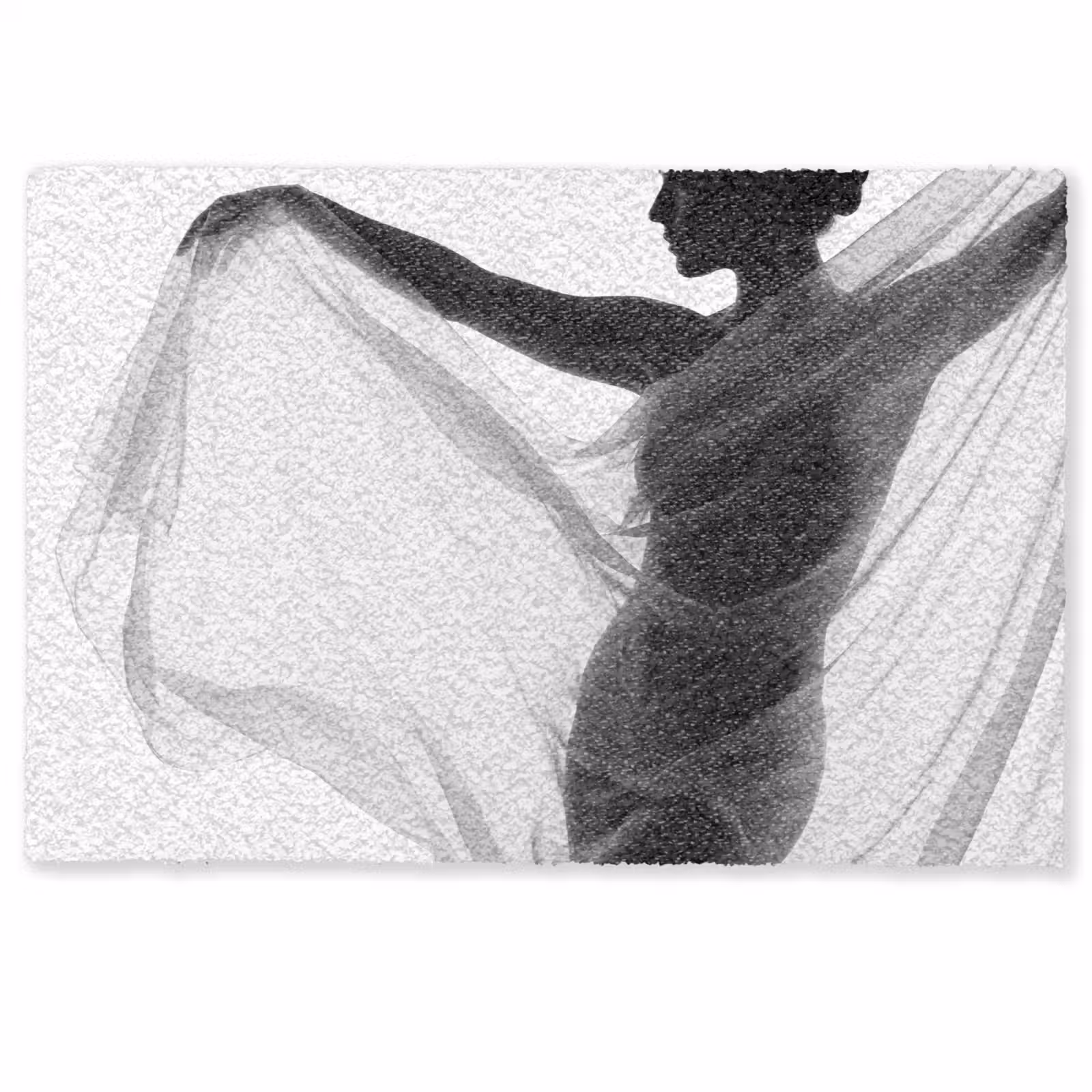 Deurmat - Silhouet - Sluier - Vormen - Zwart - Wit - Sensueel — 1
