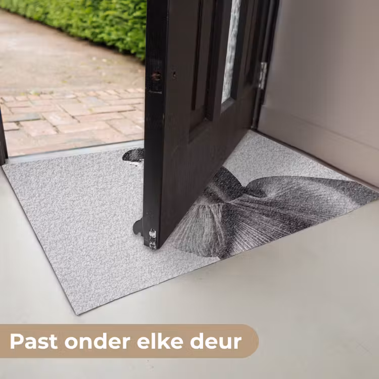 Deurmat - Vrouw - Rug - Textuur - Zwart - Wit - Elegant — 7