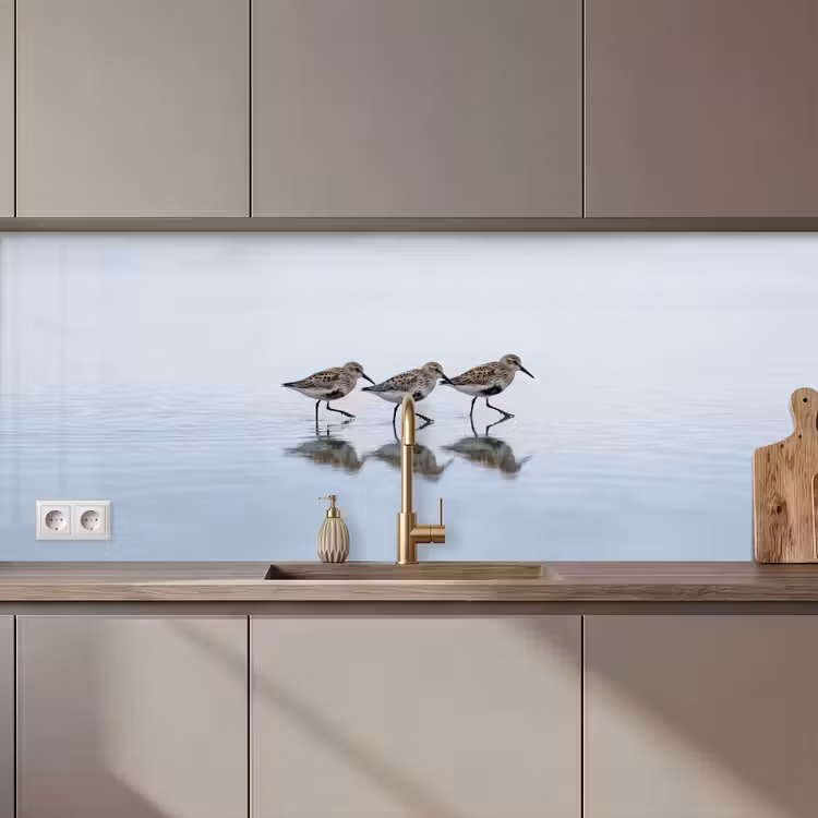 Keuken achterwand - Vogels - Water - Grijs — 1