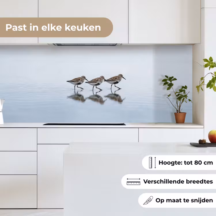 Keuken achterwand - Vogels - Water - Grijs — 4